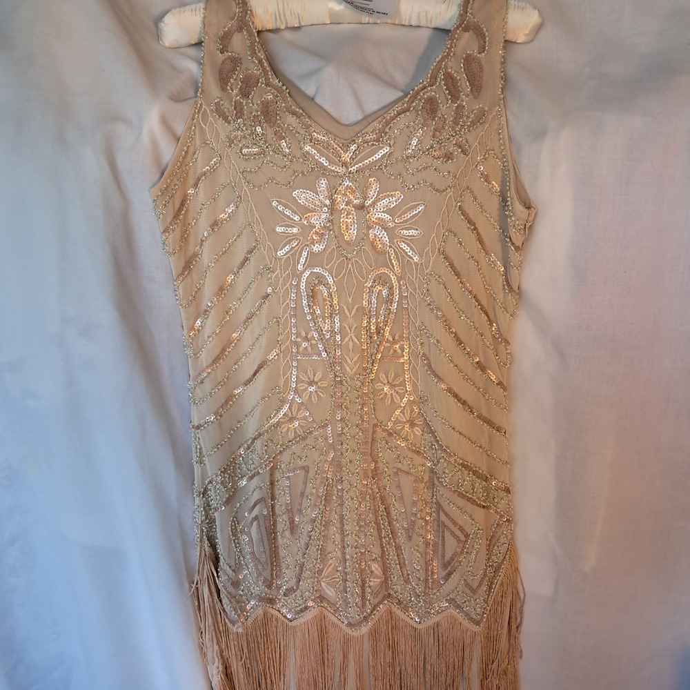 Gold Fringe Flapper Mini Dress - Vintage-Inspired Party Dress - Picture 2 of 9